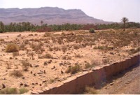 Berber begraafplaats : geen grafstenen maar eenvoudig een puntige steen