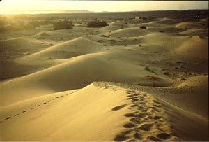 zandduinen in de Sahara... bij zonsopgang