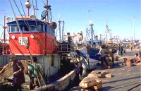 Agadir zijn visserijhaven