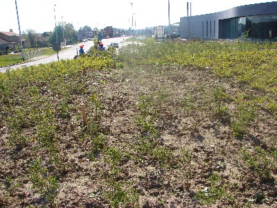 In het voorjaar van 2008 wordt de rotonde een waar plantsoen en verraden enkele paaltjes waar de betonnen sokkel is gegoten.
