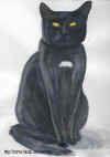 zwarte kat (aquarel).jpg (102604 bytes)