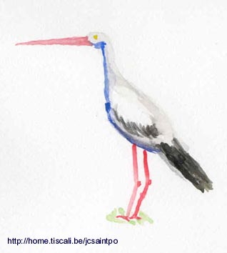 Kikou the stork