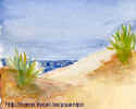 Dune & Sea.jpg (59595 bytes)