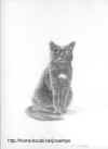 black cat (pencil).jpg (359353 bytes)