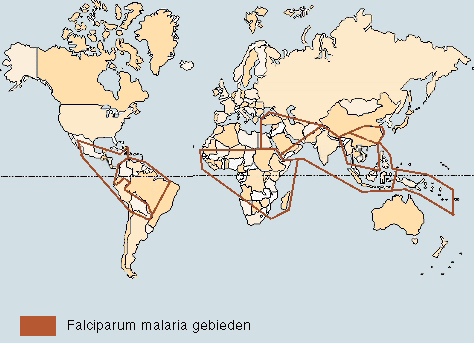 Wereldkaart P. falciparum malaria