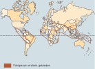 wereldkaart P.falciparum malaria