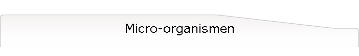 Micro-organismen