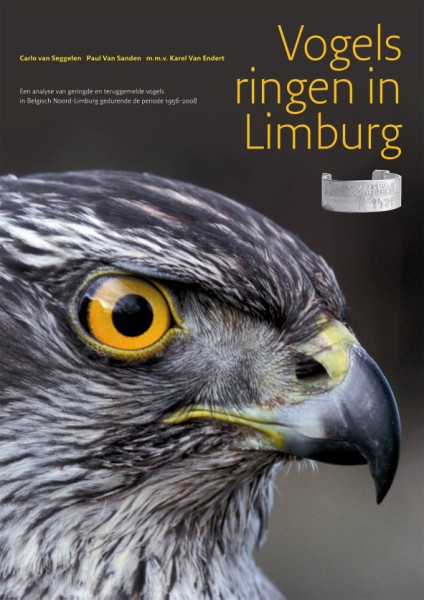 Vogels ringen in Limburg