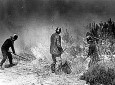 Brand op de Kalmthoutse Heide in de kurkdroge zomer van 1976.