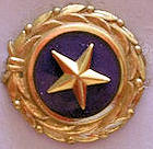 GOLD STAR MOTHER PIN