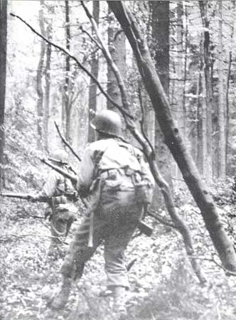 SOLDIERS IN THE FOREST