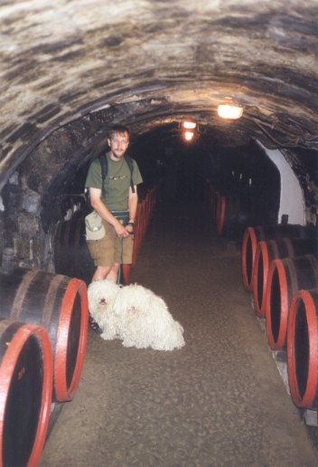2 km of tunnels full of wine.