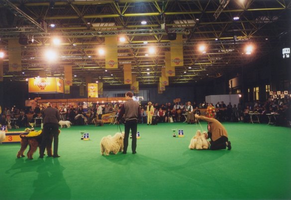Eurodog 1999