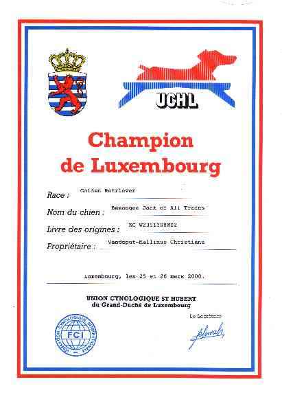 beeangee JACK OF ALL TRADES - Champion de Luxembourg