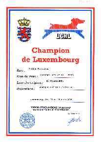 beeangee JACK OF ALL TRADES - Champion de Luxembourg