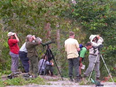 The group in the birding paradise: La Azulita