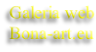 Galeria web Bona-art.eu